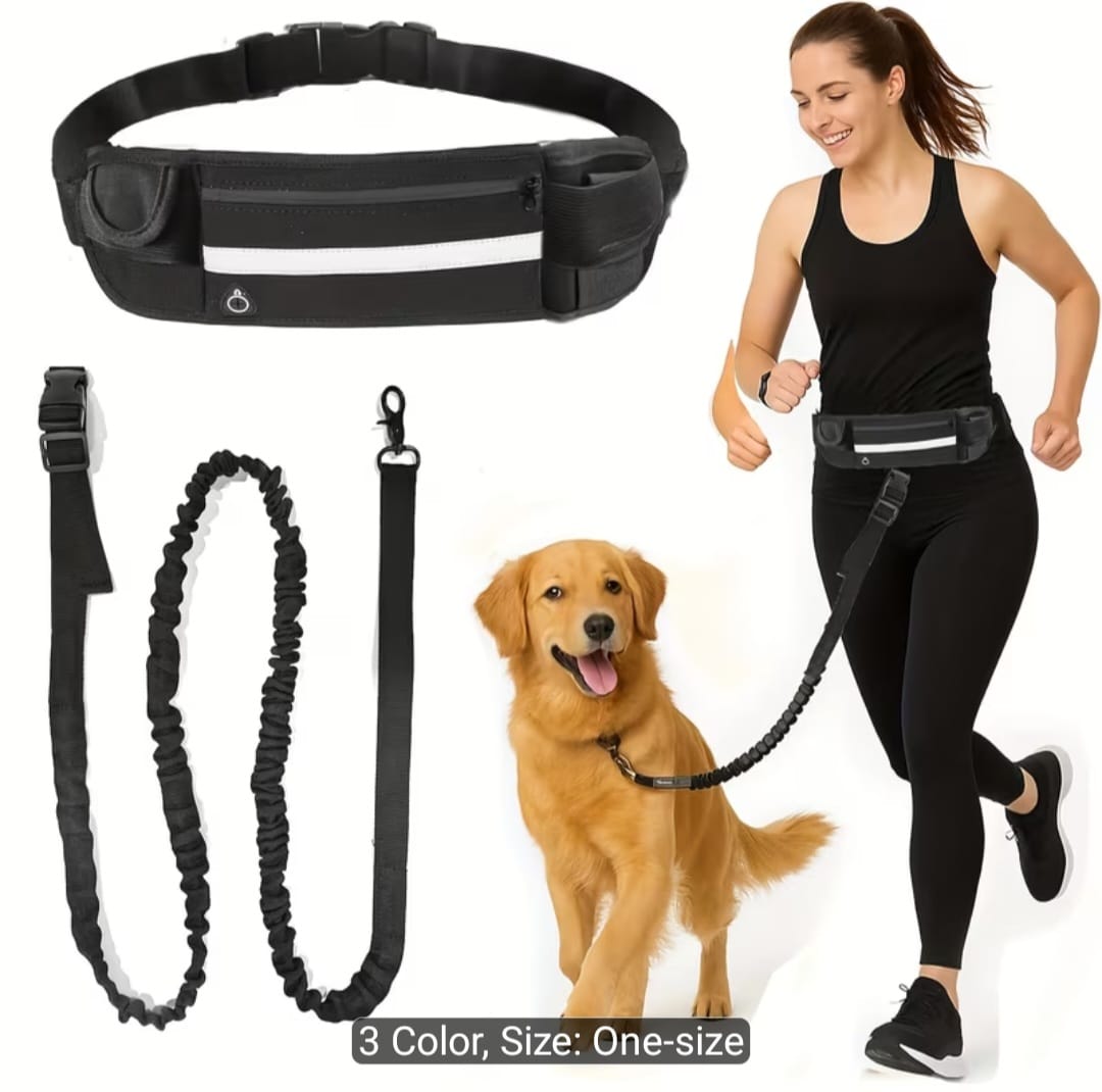 🐾 Hands-Free Dog Walking Belt with Bungee Leash & Zipper Pouch