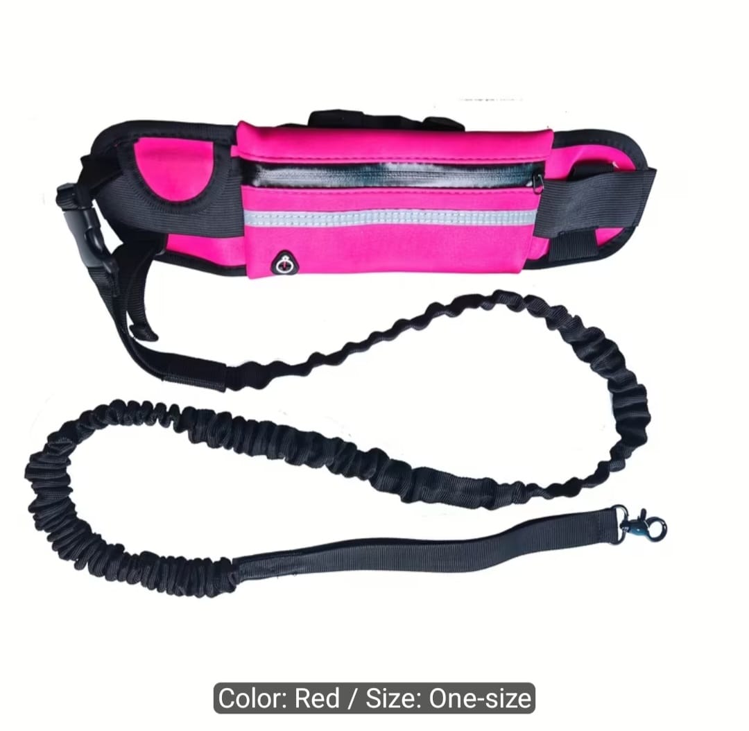 🐾 Hands-Free Dog Walking Belt with Bungee Leash & Zipper Pouch